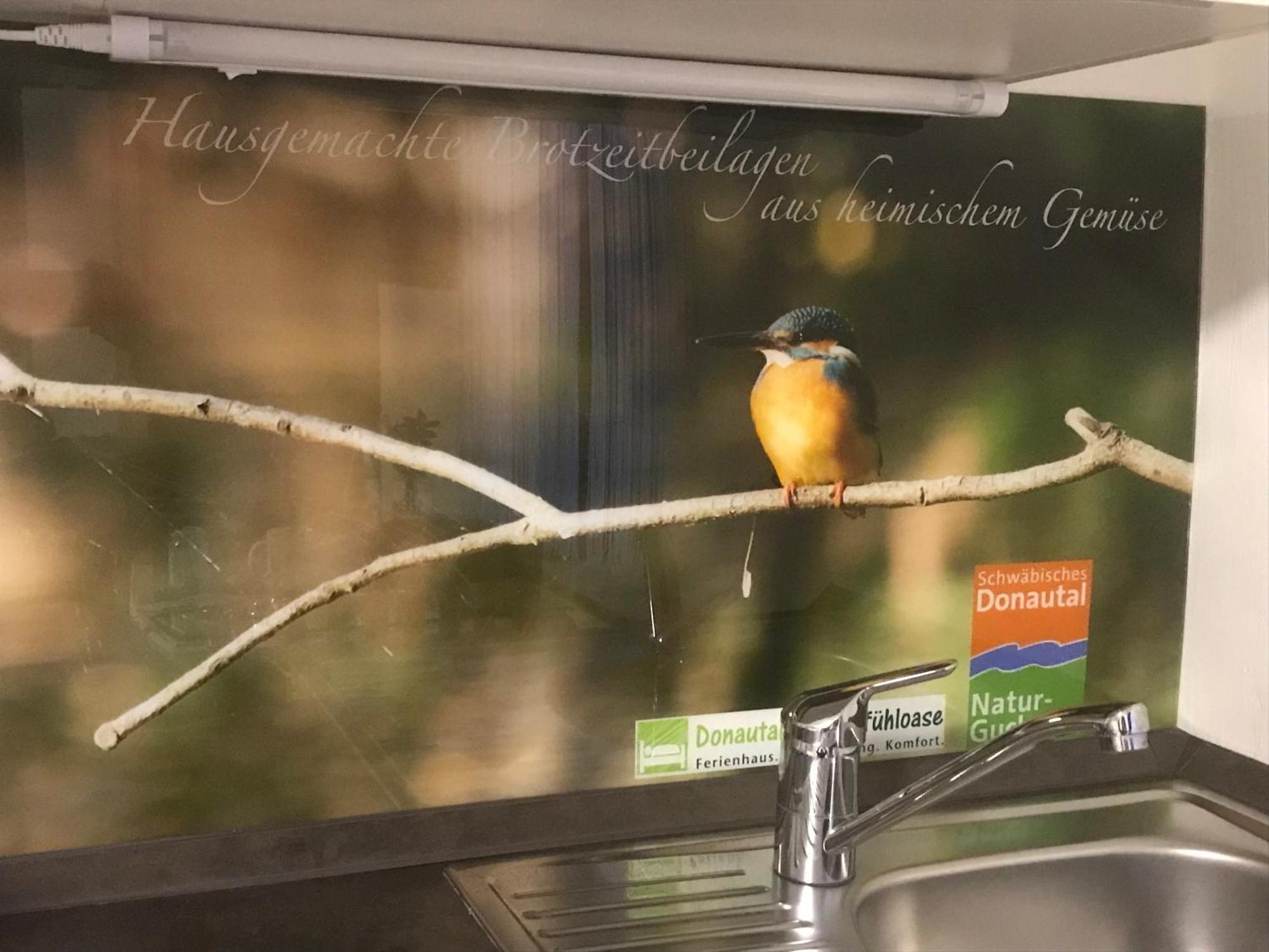 Donautaler Wohlfuehloase Lejlighed Gundelfingen an der Donau Eksteriør billede